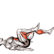 Lying Cycle demonstration