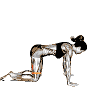 Resistance Band Bent Leg Kickback (Kneeling)