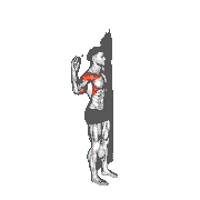 Bodyweight Standing Military Press Wall Supported
