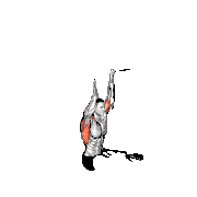 Seated Chin-Up