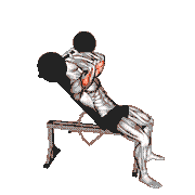 Barbell Incline Triceps Extension Skull Crusher demonstration