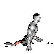 Flexion and Extension Hip Stretch