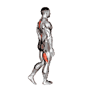 Bodyweight Single Leg RDL