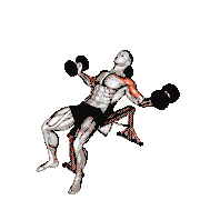 Dumbbell Incline Twisted Fly