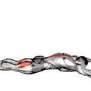 Lying Back Extension