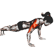 Lay Down Push-Up