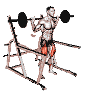 Barbell Low Bar Squat with Rack