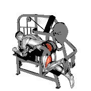 Lever Hip Extension