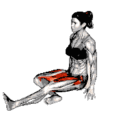 Knee Hug Glute Stretch