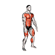 Burpee Squat