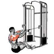 Cable Seated Face Pull (with Rope)
