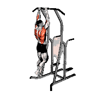 Weighted Hammer Grip Pull-Up on Dip Cage demonstration