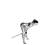 Cable Straight Legs Pull Through (with Rope)