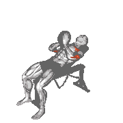 Incline Svend Press