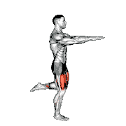 Counterbalanced Skater Squat