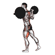 Barbell Single Leg Good Morning