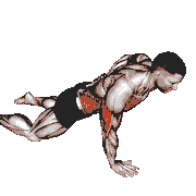 Single Arm Push-Up (On Knees)