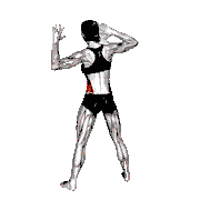 Ear to Knee Side Bend