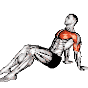 Seated Shoulder Flexor Depressor Retractor Stretch Bent Knee