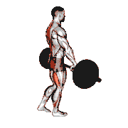 Barbell Single Leg Deadlift