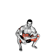Squat Mobility Twist