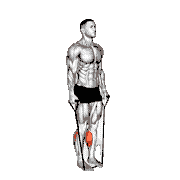 Band Two-Leg Calf Raise (Band Under Both Legs) demonstration
