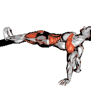 Bench Dip Hold