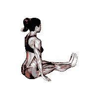 Lean Forward Stretch