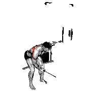 Cable One-Arm Reverse Fly