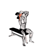 Dumbbell Seated Single-Arm Overhead Triceps Extension
