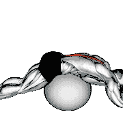 Back Extension on Exercise Ball demonstration