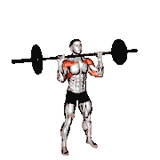 Barbell Standing Shoulders Press