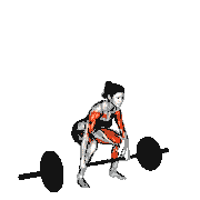 Barbell Power Clean demonstration