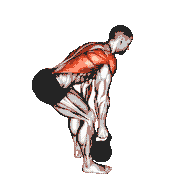 Kettlebell Alternating Row