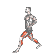 Shuffle Hops
