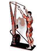 Ski Ergometer