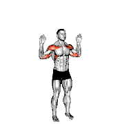 Bodyweight Standing Military Press