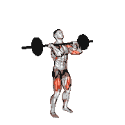 Barbell Thruster