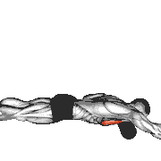 Roll Pec Foam Rolling