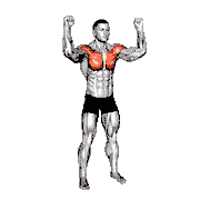Half Chest Fly