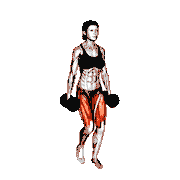 Dumbbell Curtsey Lunge