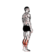 Bodyweight Standing Calf Raise