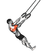 Ring Split Fly
