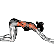 Thread the Needle Pose demonstration