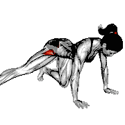 Kneeling Straight Leg Side Kick