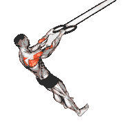 Ring Face Pull