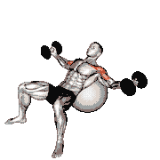 Dumbbell Incline Fly on Exercise Ball