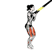 Suspender Rear Lunge demonstration