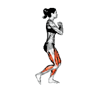 Bodyweight Reverse Lunge High Knee