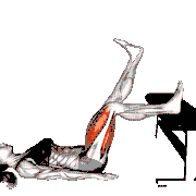 Glute Bridge One Leg on Bench